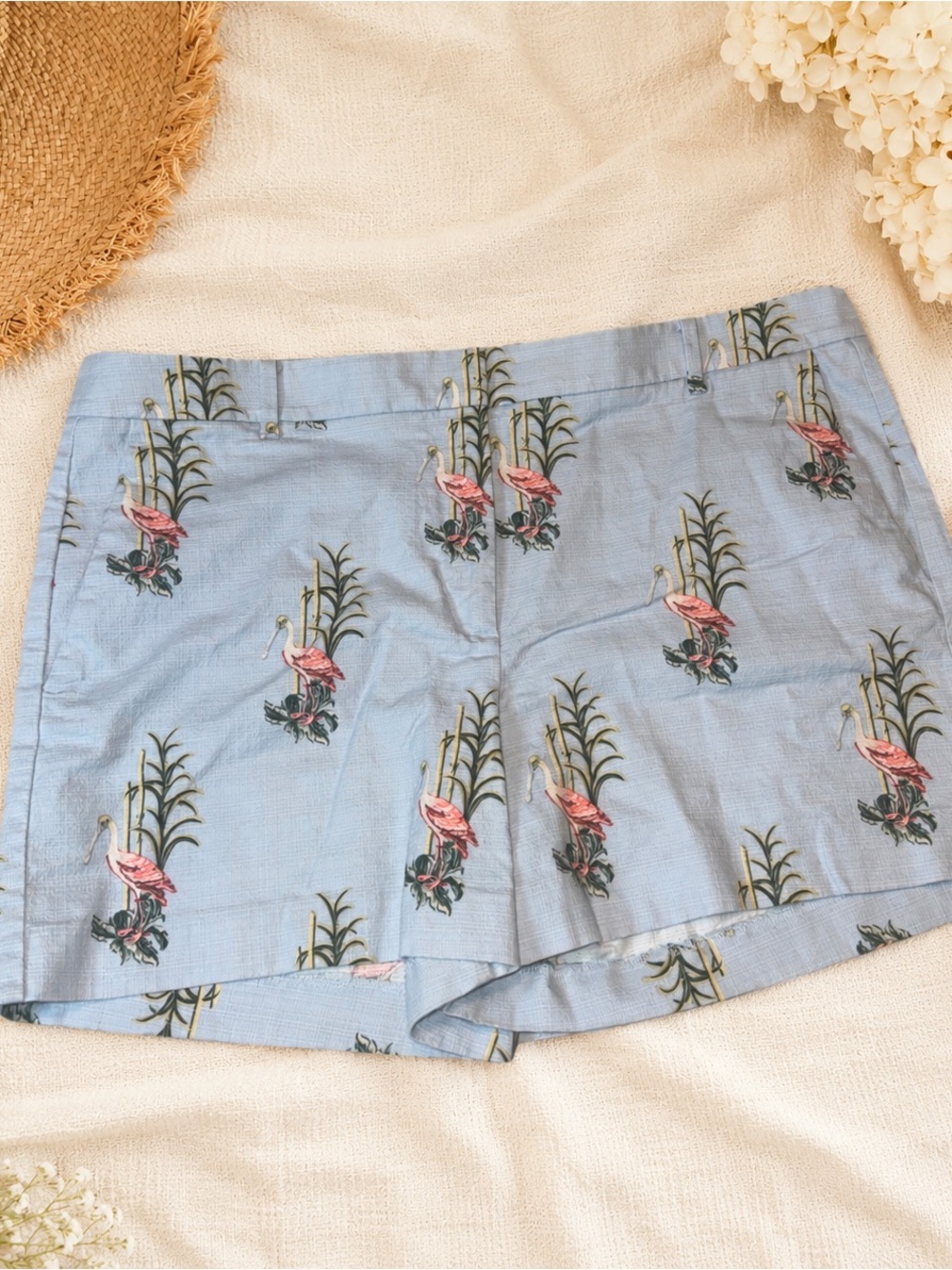 Ann Taylor Pink Flamingo Shorts 14 Devin Fit Blue